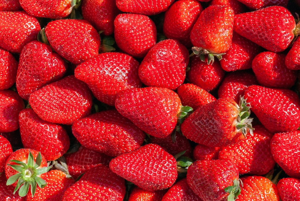 Flora Friday: Why Strawberries Deserve a Spot in Your Spring&nbsp;Garden