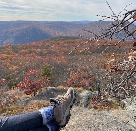 Take a Hike: 3 Reasons Why you Need a&nbsp;Hike